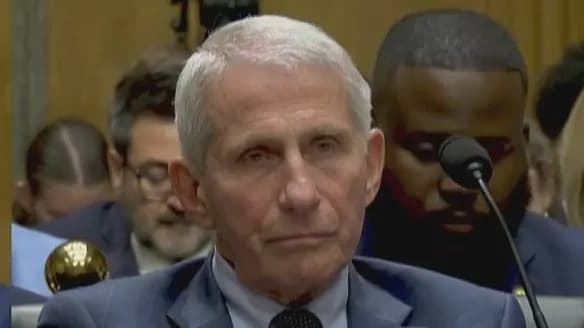 Released Fauci Texts Raise Concerns About Vaccine Risks In Pregnancy; Critics Call Them 'Shocking'