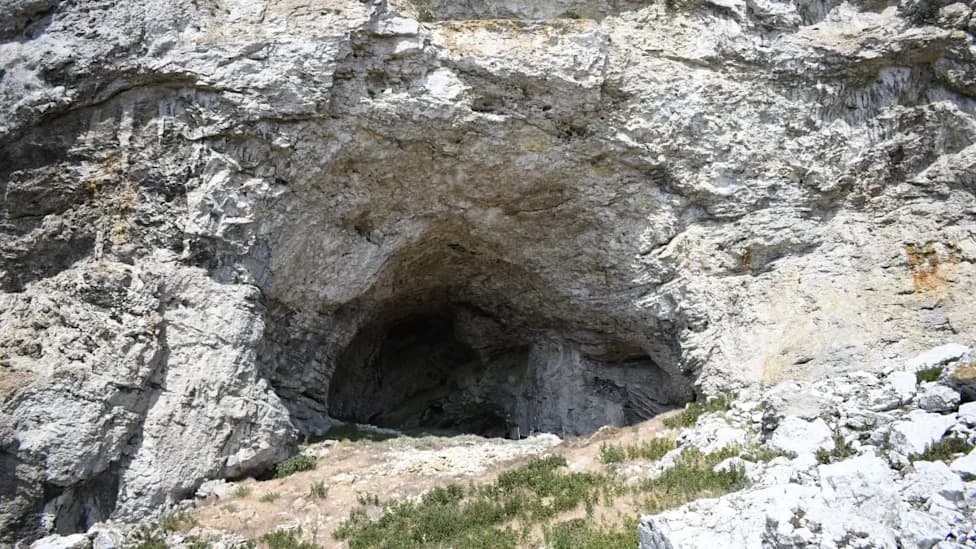 9,000-Year-Old Burial of a Pregnant Teen Uncovered in Swedish Cave
