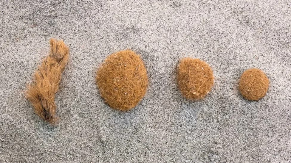 Seaweed-Inspired 'Fluffy' Mesh Captures Over 90% Of Microplastics In Lab Tests