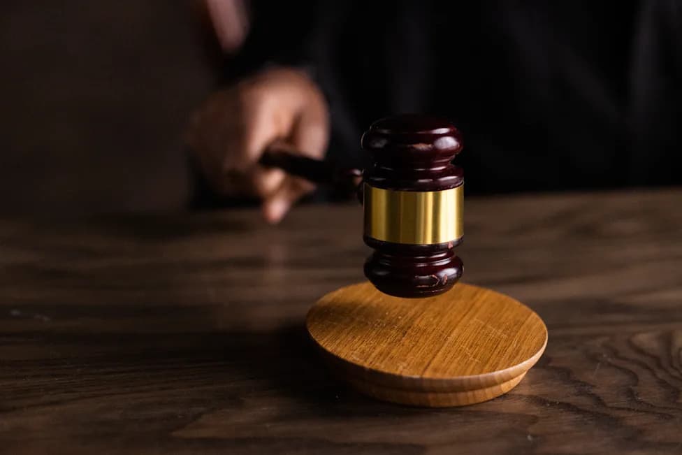 Former DHS Official: Trump Administration Should Expose Judicial Activism Blocking Immigration Policy