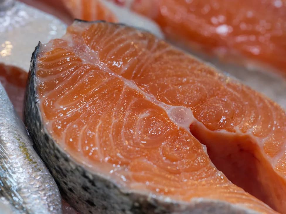 UK Drought and Heatwaves Threaten Salmon Supplies and Wildlife