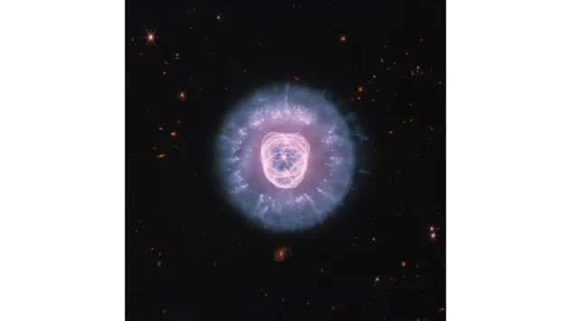 Webb Reveals a 'Lion' Face in Stunning New Images of NGC 2392