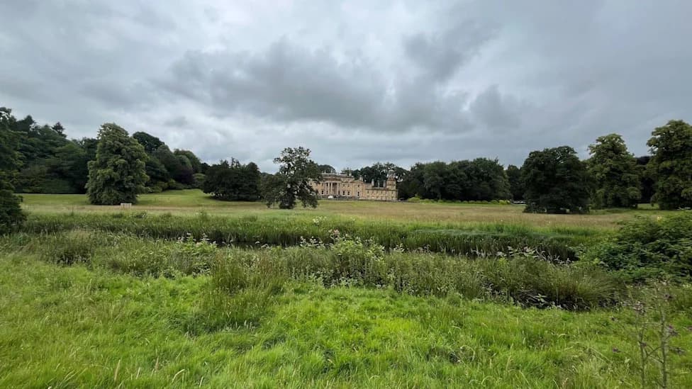 Rewilding Revival: Broughton Estate Sees Wildlife Surge After Tree Planting, Beavers and Pigs