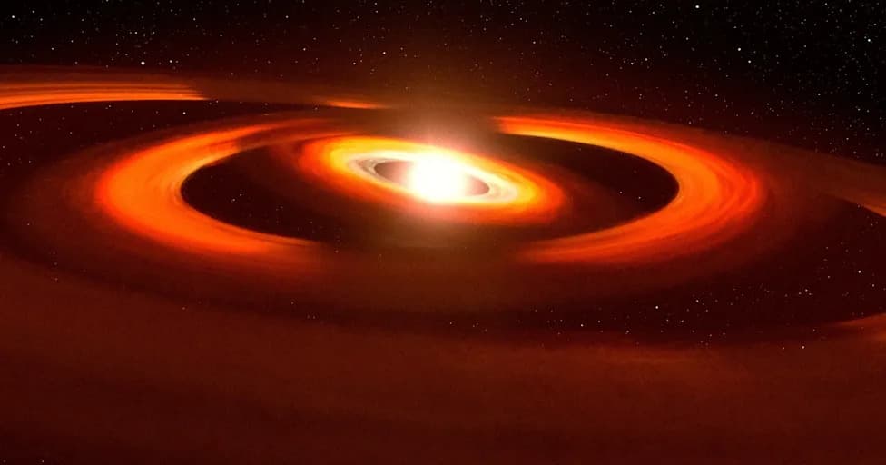 JWST Reveals a New Cosmic Creature: MoM-BH*-1, a ‘Black Hole Star’