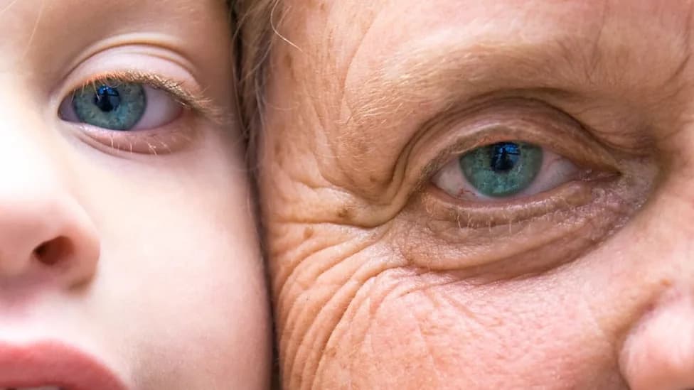 Do Aesthetic Treatments Truly Rejuvenate Skin? Review Finds Limited Biological Evidence