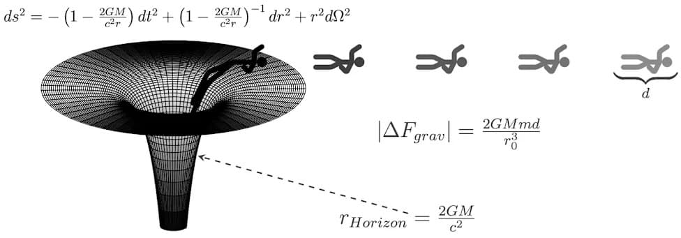 Could a Person Enter a Black Hole to Study It?
