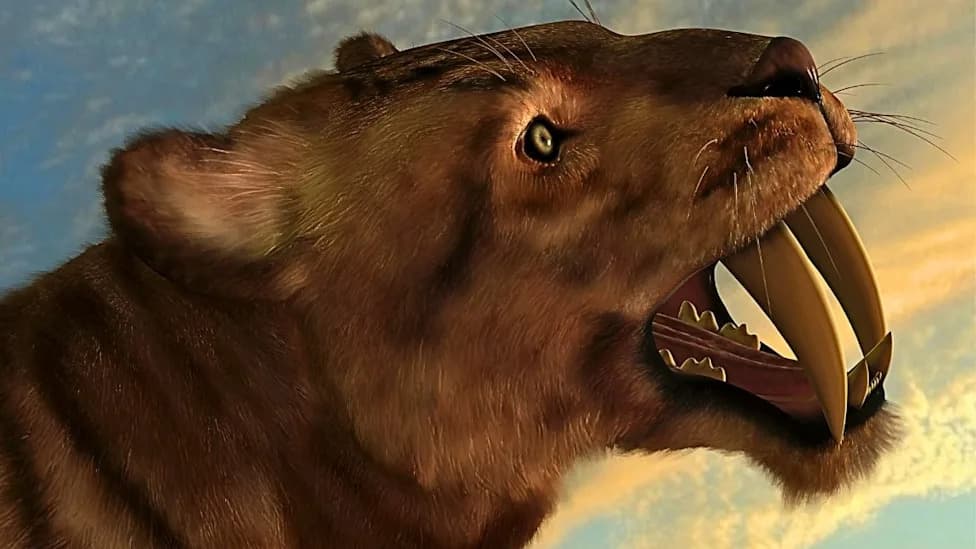Study Finds Saber-Toothed Cats May Have Suffered Inbreeding and Severe Spinal Disease Before Extinction