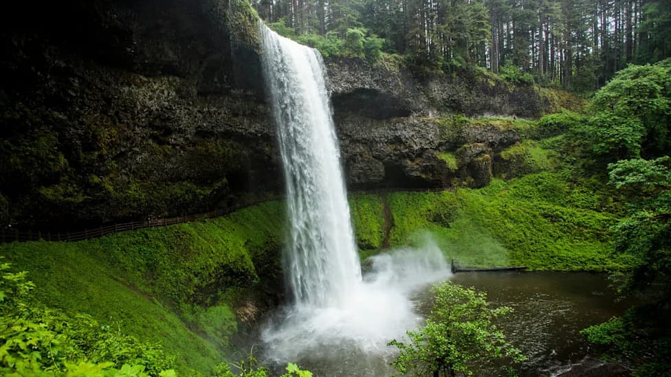 20-Year-Old Dies After 177-Foot Fall at Silver Falls While Posing for Photos