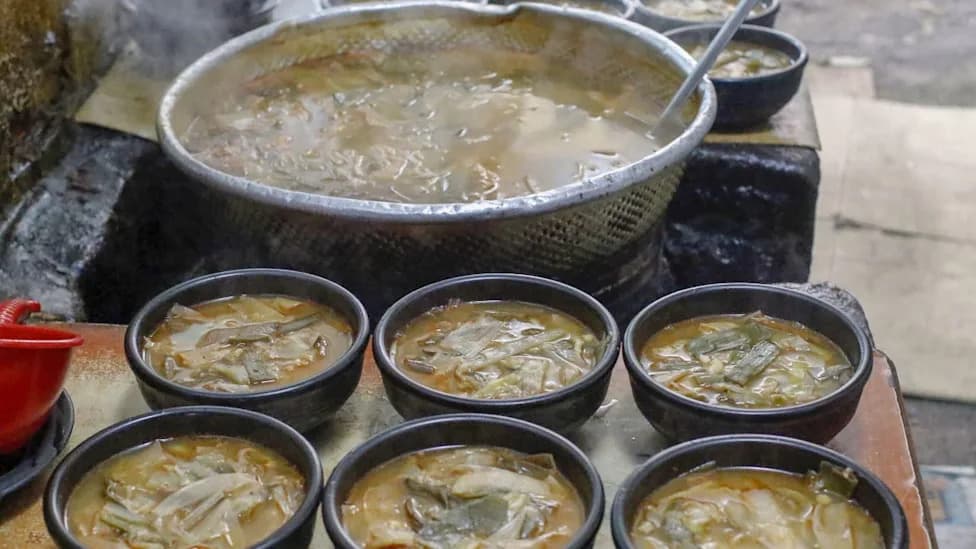 Final Season for Legal Dog Meat in South Korea as Nationwide Ban Approaches