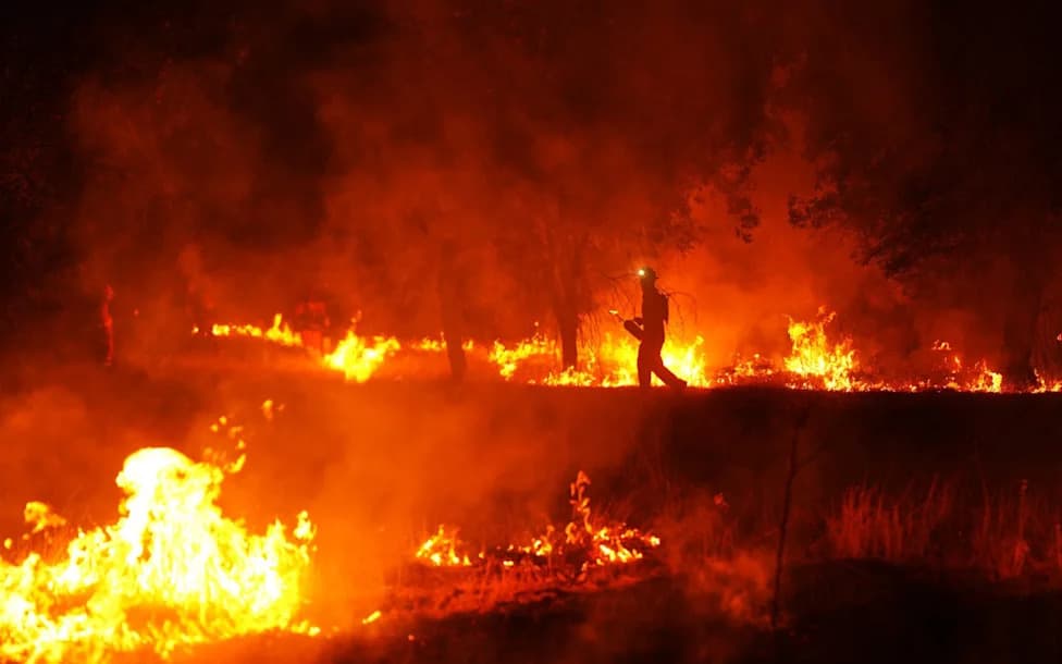 Global Wildfires Are Down — Local Infernos in France and Spain Demand Better Fire Policy