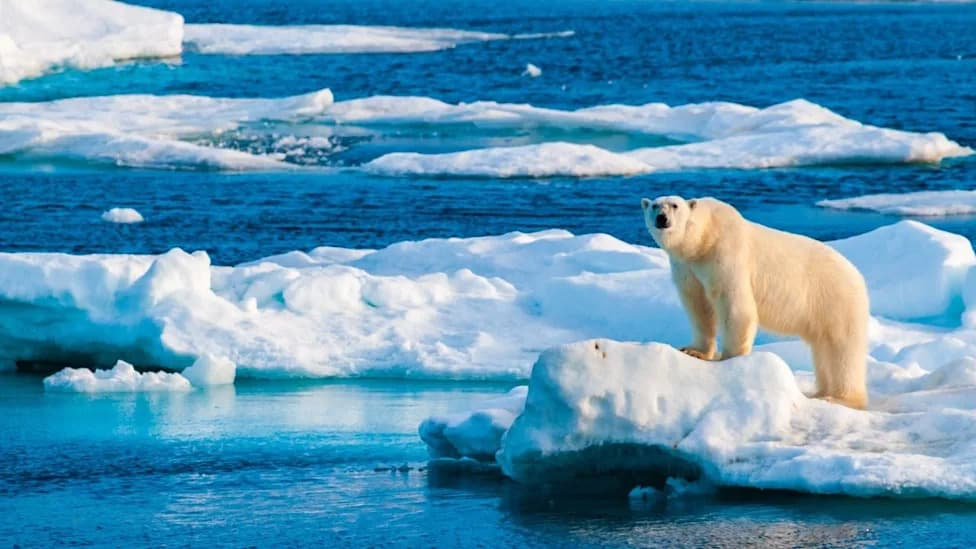 NOAA Withdraws Coordination of 2026 Arctic Report Card — Scientists Scramble to Save Annual Assessment