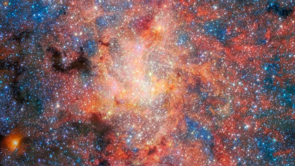 JWST Detects Water and Dust Surviving Surprisingly Close to the Milky Way’s Black Hole