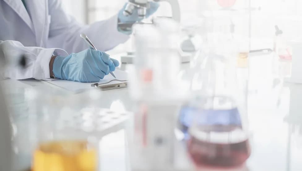 EMA Validates Pfizer–Valneva Lyme Vaccine Application, Triggering Formal EU Review