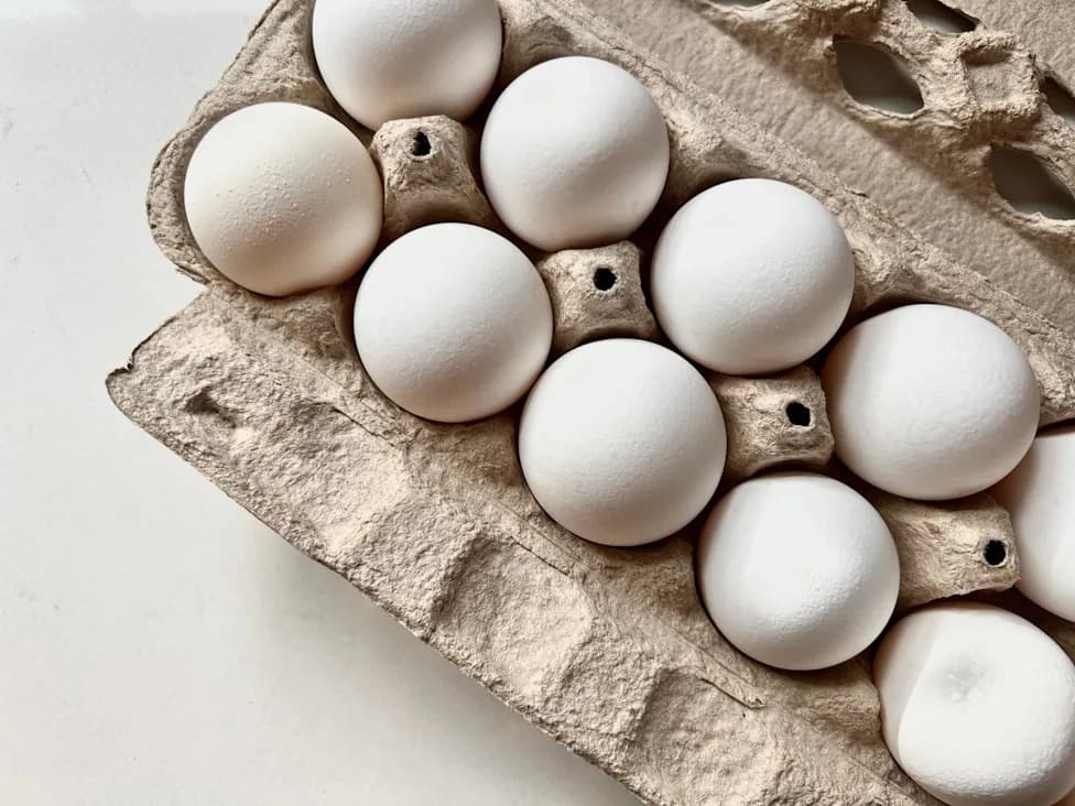 FDA Upgrades Recall to Class I for Nearly 1.6M Egg Cartons Over Salmonella Risk