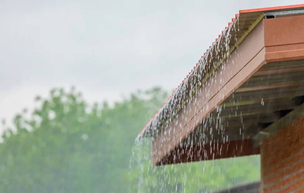 Puerto Rico Turns to Rooftop Rain Harvesting as Historic Drought Forces 180,000 Households to Ration Water