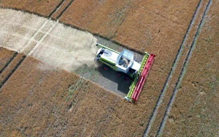 German Farmers Warn Drought Will Cut Grain Harvest by About 7% to 41.9 Mt