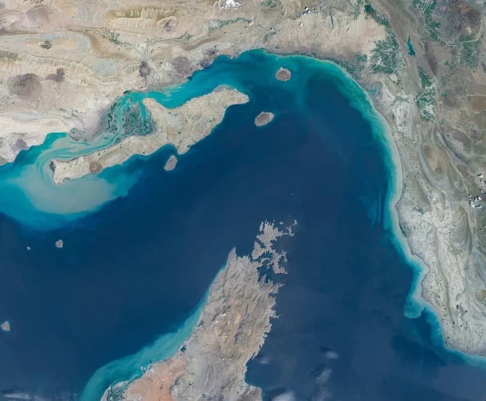 Beyond Oil: How War and Stranded Ships Threaten the Living Ecosystem of the Strait of Hormuz