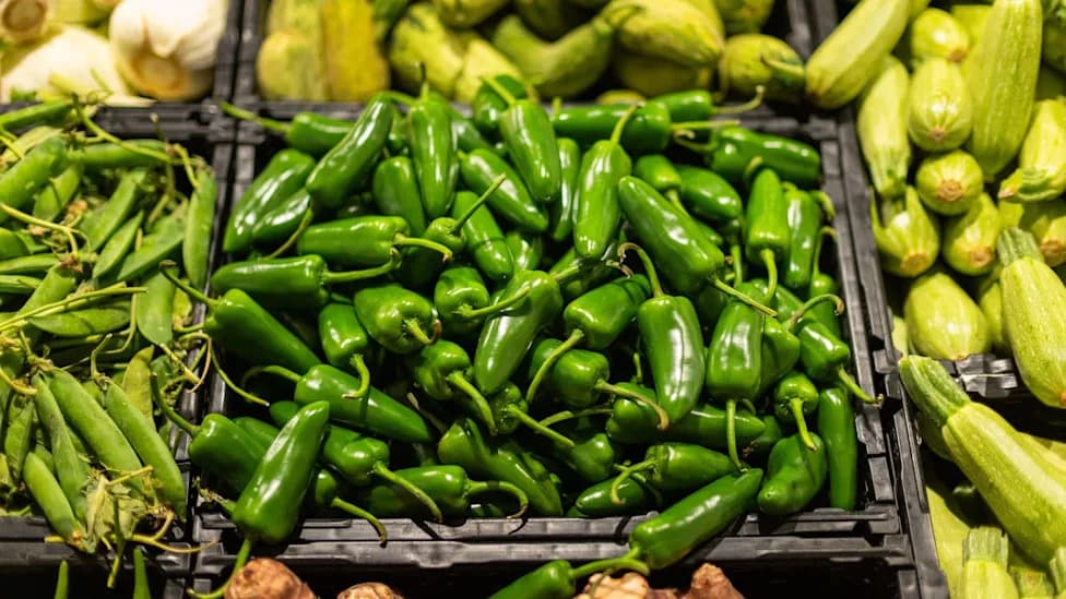 Over 300 Sickened in U.S. Salmonella Outbreak Linked to Jalapeños — Experts Warn Washing Alone Isn’t Enough