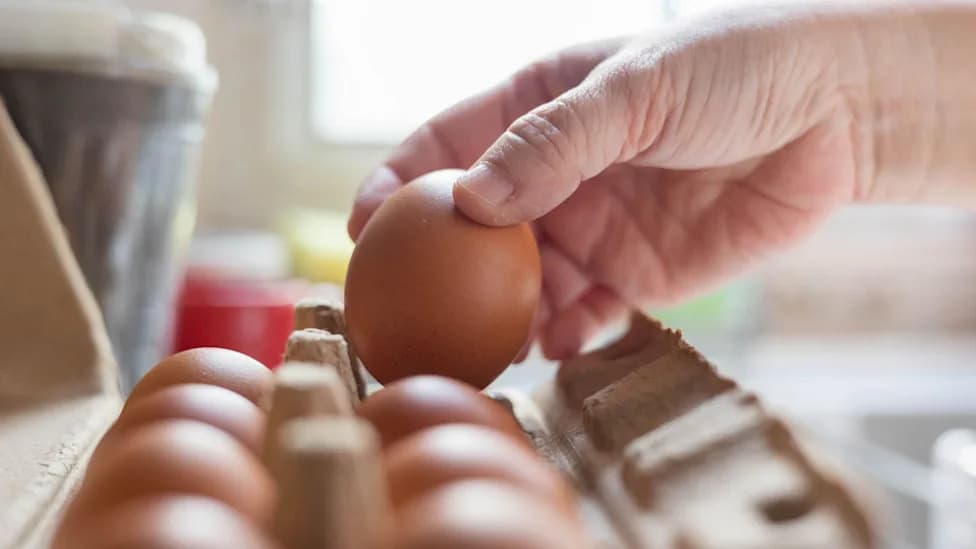 UK Salmonella Outbreak: Imported Eggs Suspected After One Death, 207 Cases