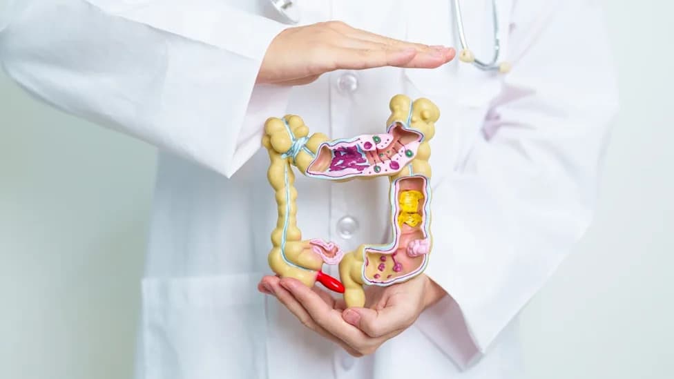 Colospan Completes First‑in‑Human Feasibility Study of Intraoperative Colon‑Tissue Platform