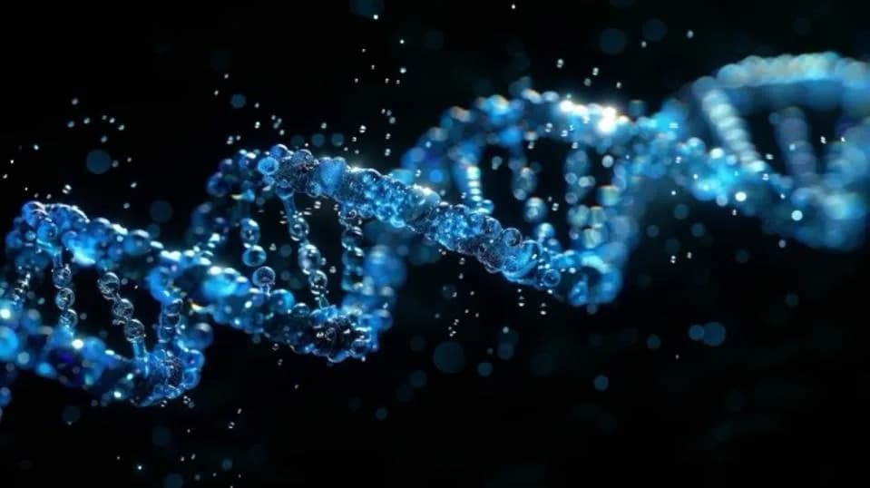 Cancer Genes Aren't Destiny: How Your Whole Genome Shapes Cancer Risk