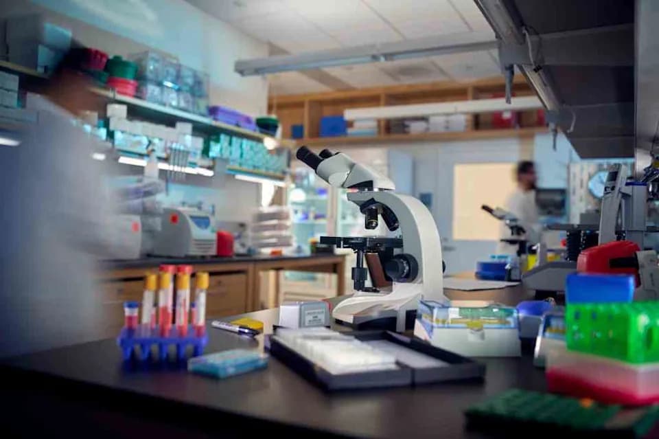 How the Microbiome Could Transform Cancer Care — And What It Will Take