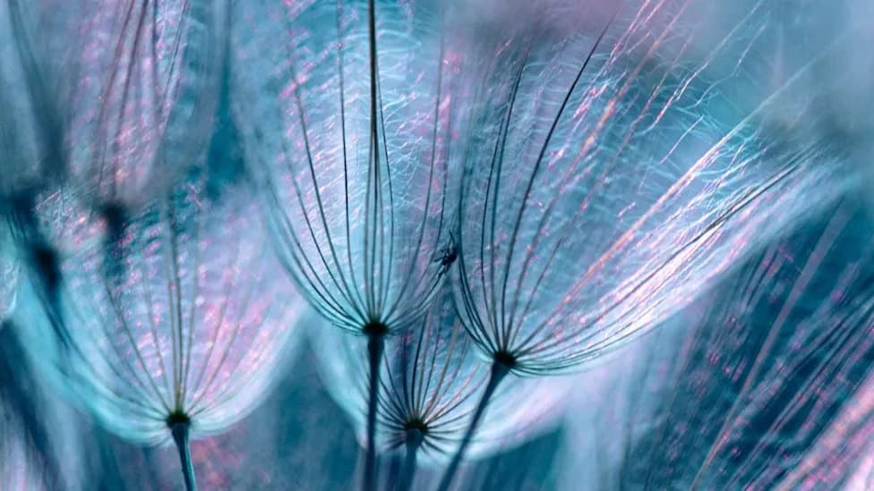 Largest Single‑Site Psilocybin Brain Study Finds 'Hidden Order' in Apparent Chaos