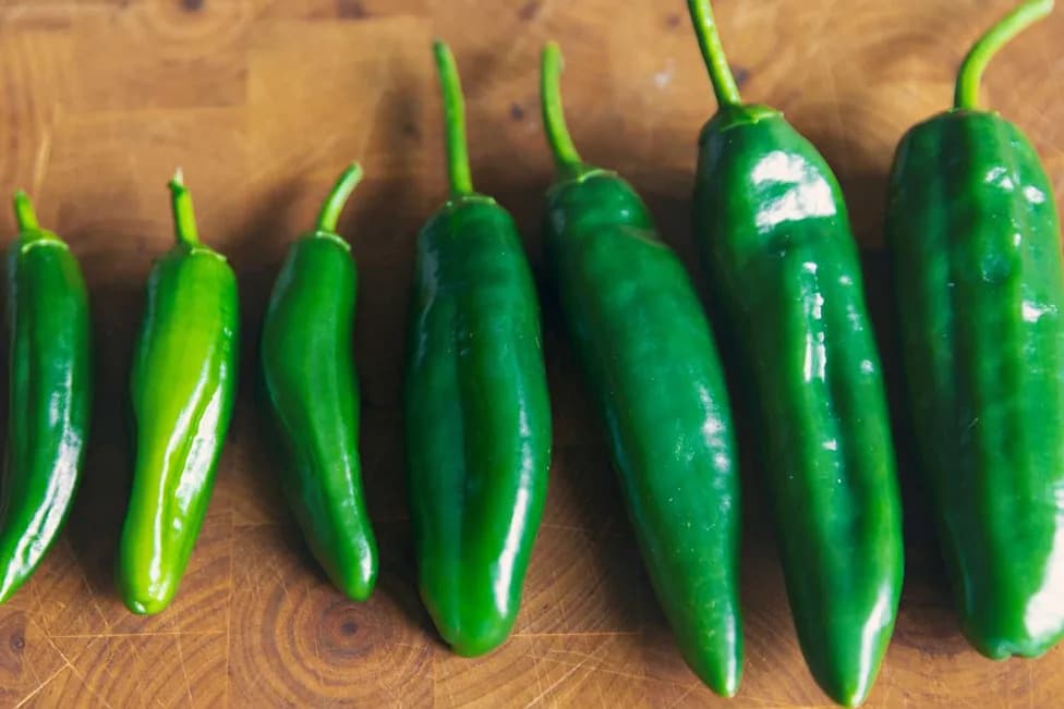 Salmonella Outbreak Linked to Jalapeños Spreads to 32 States — 431 Cases, 57 Hospitalized; Recall Issued