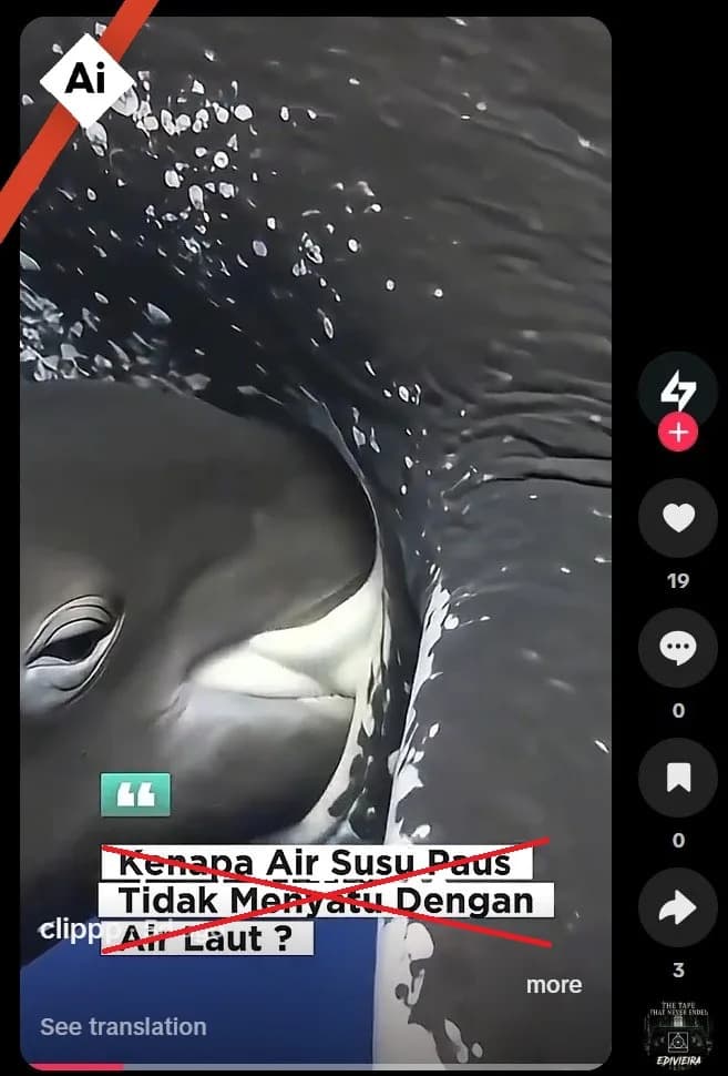 AI-Generated 'Nursing Whale' Video Debunked — Experts Call Clip 'Completely Implausible'