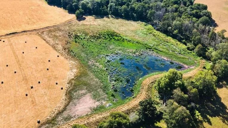 Experts Race To Protect Rare Species After Hottest UK Summer On Record