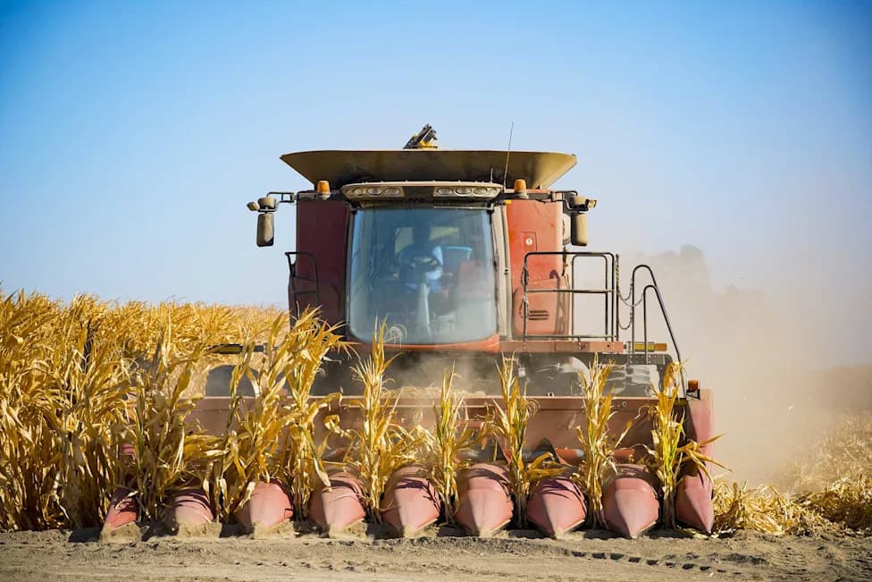 US Appeals Court Upholds Most Of USDA's 'Bioengineered' GMO Label Rule — Orders Targeted Fixes