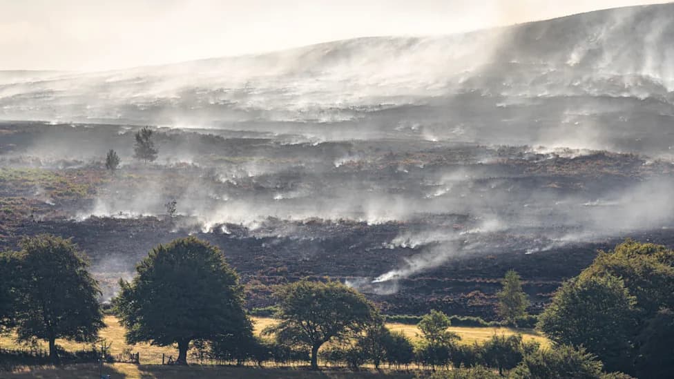 Torfaen Identified As Global Wildfire Carbon-Emission Hotspot After Blaenavon Blaze