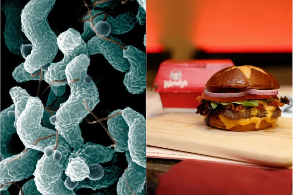 Chicago Woman Sues Wendy's After Alleged Campylobacter Contamination From Delivered Burger