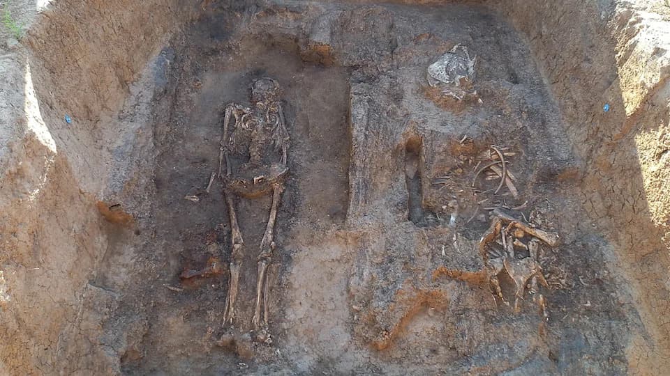 Rare 10th‑Century Wooden Chamber Tomb at Suzdal Reveals Nobleman Buried With Horse and Dog
