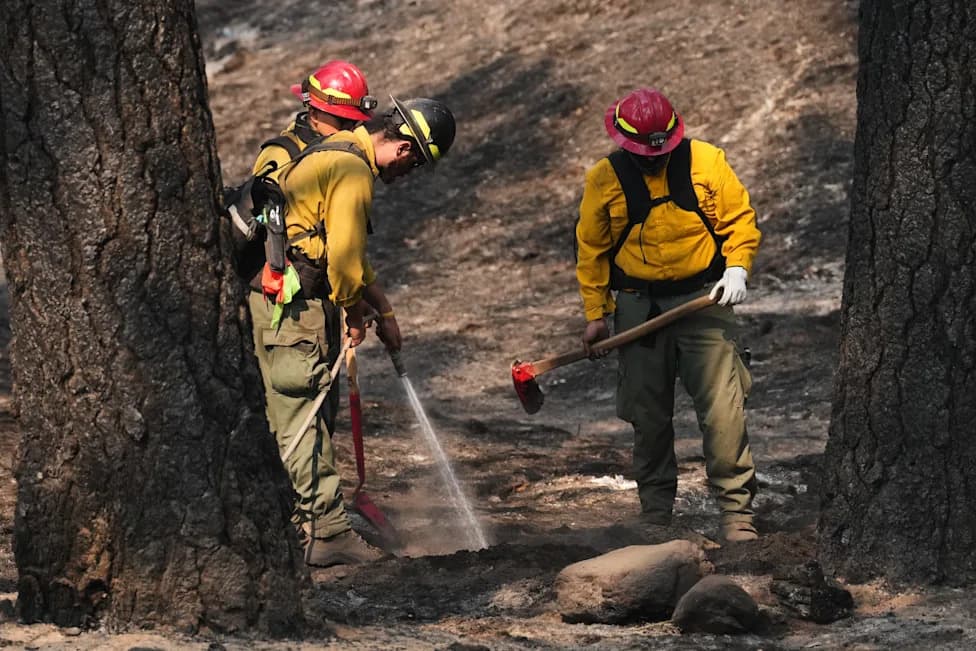 Officials Warn Firefighters: Unproven Glutathione Treatments for Smoke Exposure May Be Unsafe