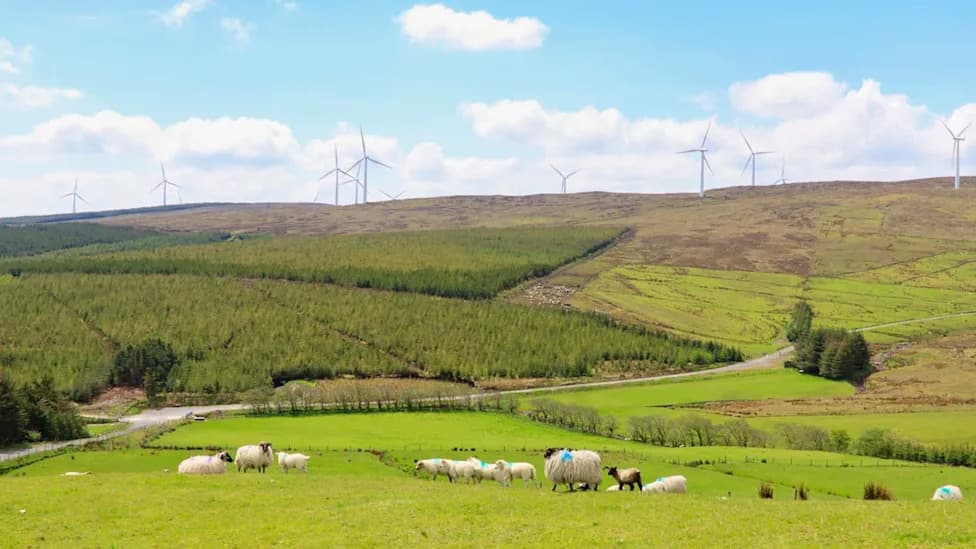 Donegal Pilot Turns Surplus Wind Power Into Free Hot Water — Up to 40 Homes to Benefit