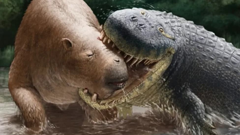 Car-Sized Croc Relative Ambushed Rhino‑Sized Mammals in Miocene South America