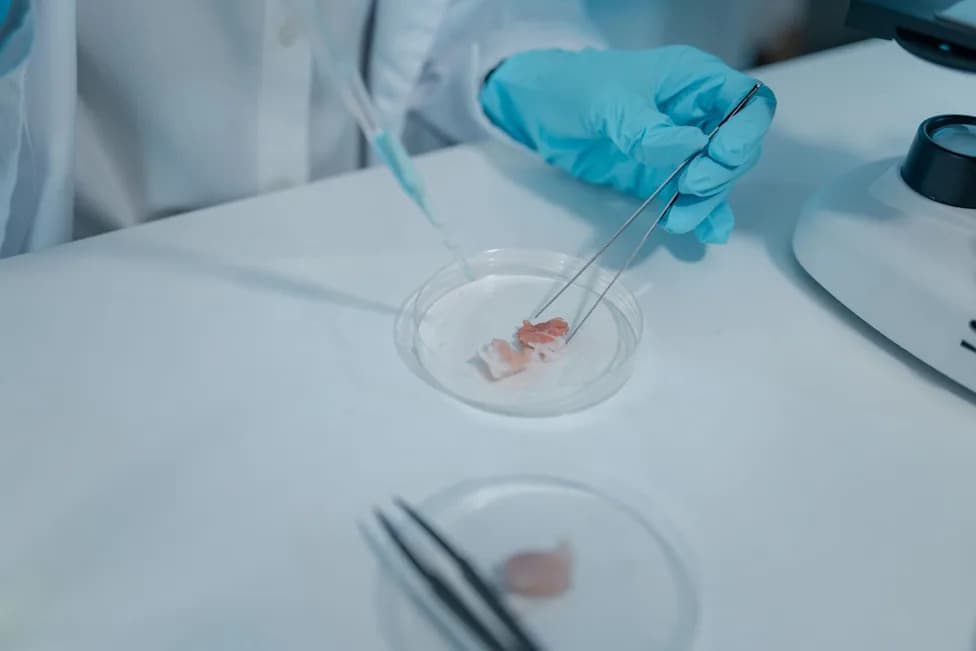 UK Pledges £22M to Scale Lab-Grown 'Mini-Organs' to Cut Animal Tests and Speed Drug Discovery