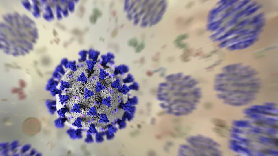 Severe COVID Can Reactivate Dormant Viruses — Study Links Anelloviruses To Long‑Term Physical Disability