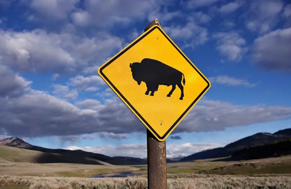 Major National Park Policy Shifts Under Trump Spark NPCA 'Day of Action' During 110th Anniversary