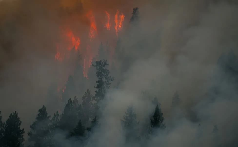 Ocean Heat and a Brewing Super El Niño Are Fueling North America’s Wildfires