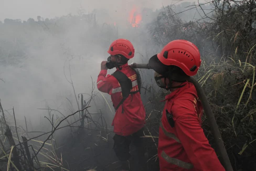 Thousands Pray for Rain as Devastating Wildfires Engulf South Sumatra