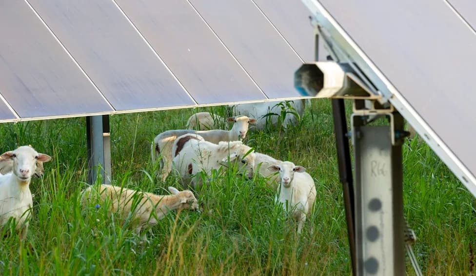 Ohio Confronts Flood Of Apparent Fake Public Comments That May Have Swayed Clean-Energy Decisions