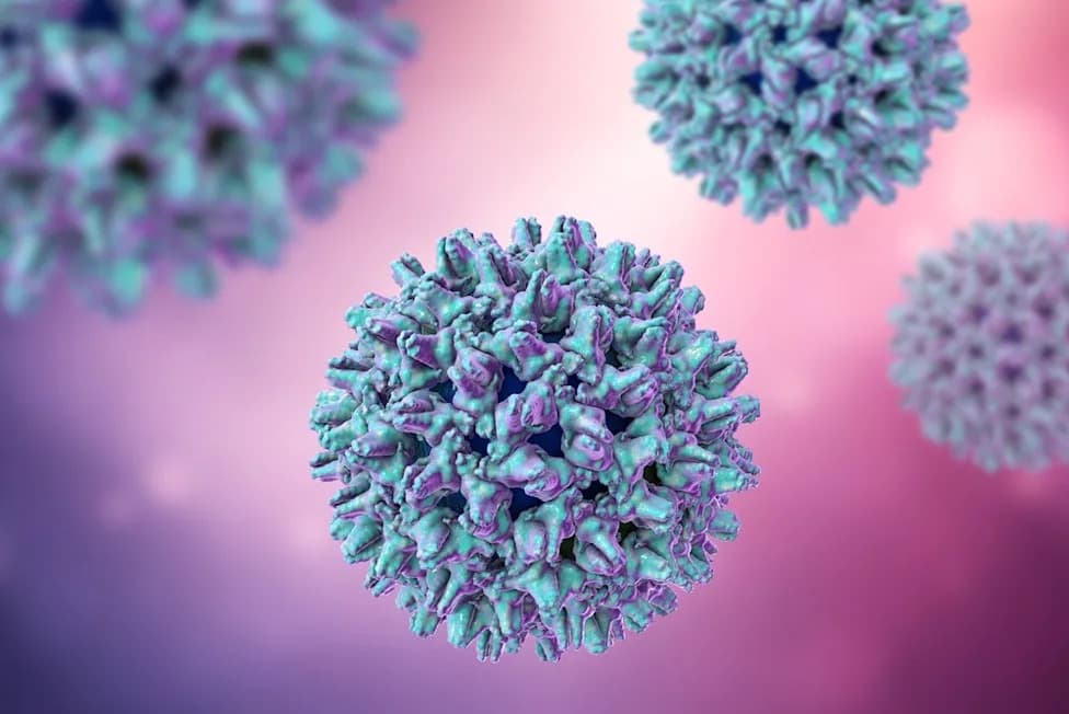 GSK’s Hibsago (Bepirovirsen) Approved In Japan — First Functional Cure For Chronic Hepatitis B