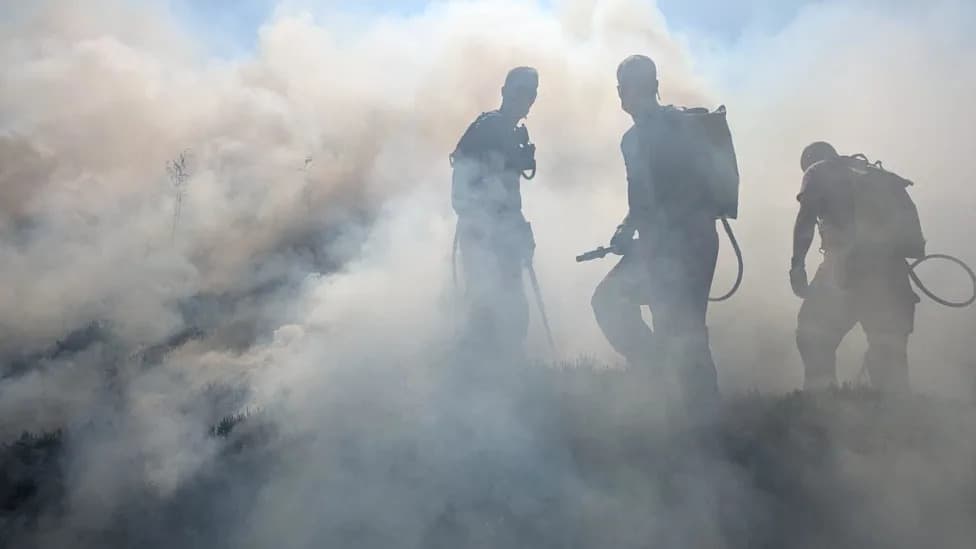 Do Rewilding Practices Increase Wildfire Risk? Lessons From the Cairngorms Blaze