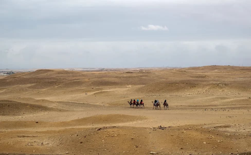 Ancient 'Shark Graveyard' Found in Egyptian Desert Yields Five Extinct Cretaceous Sharks