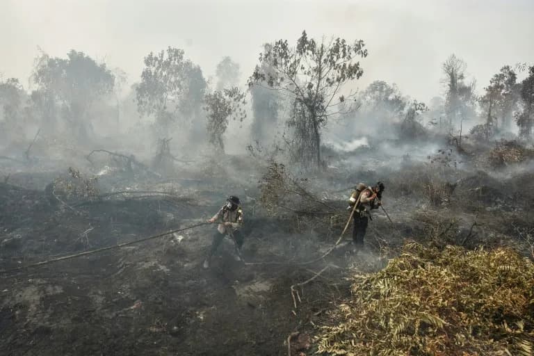 El Niño Fires Blanket Borneo and Sumatra in Haze, Putting 3.4 Million Indonesians at Respiratory Risk