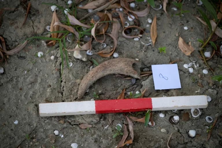 Drought-Stripped Danube Spurs Fossil Hunt in Bulgaria — Ancient Bones and WWII Wrecks Reappear