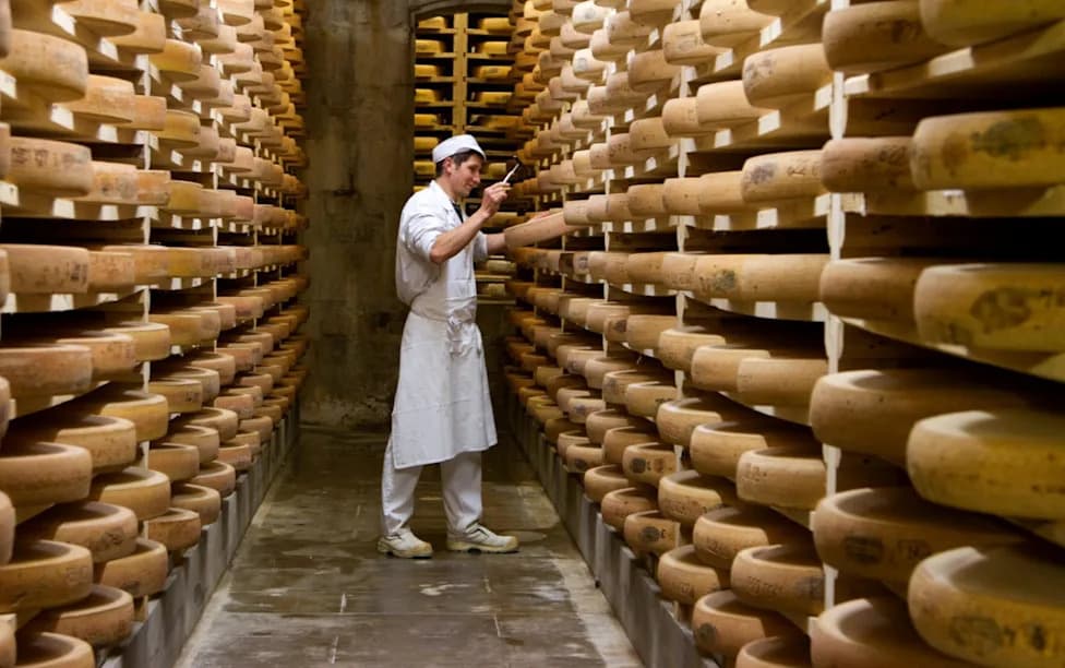 France Temporarily Loosens AOP Cheese Rules After Historic Drought — Flavour Could Change