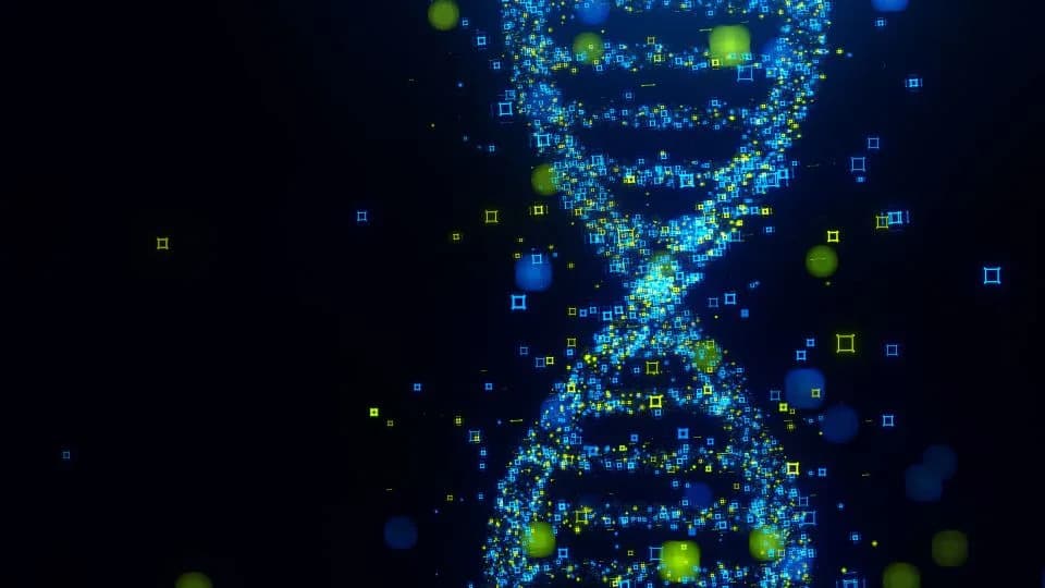 DNA Reveals Two 'Ghost' Human Ancestors — One in Africa, One 'Super‑Archaic' Linked via Denisovans